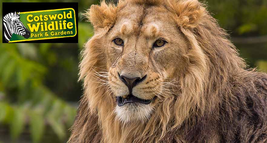 cotswold-wildlife-park-logo-getting-up-close-with-the-animals-at