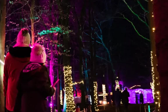 Enchanted Light Trail
