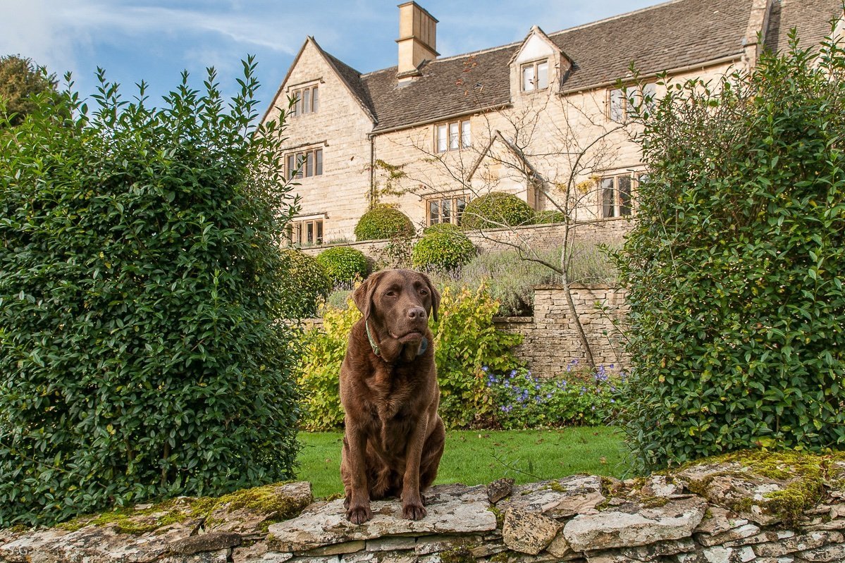 Dog Friendly Cottages & Holiday Homes Luxury Cotswold Rentals